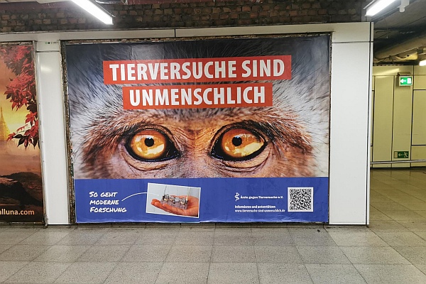 Plakate gegen Tierversuche