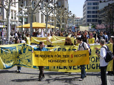 Demo in Frankfurt 2010