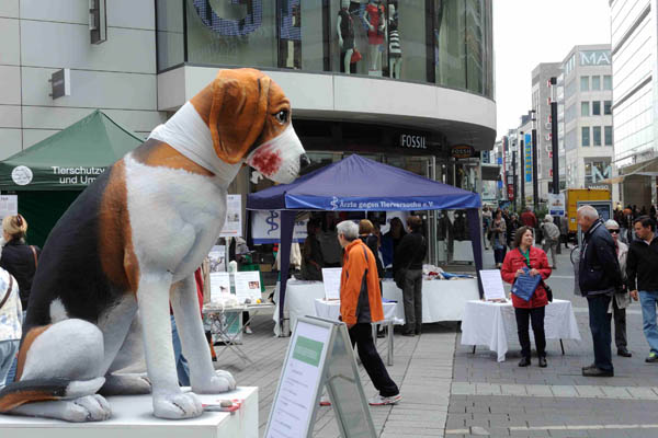 Internationaler Tag zur Abschaffung der Tierversuche 2014 - Düsseldorf