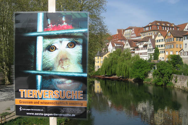 Internationaler Tag zur Abschaffung der Tierversuche 2014 - Tübingen