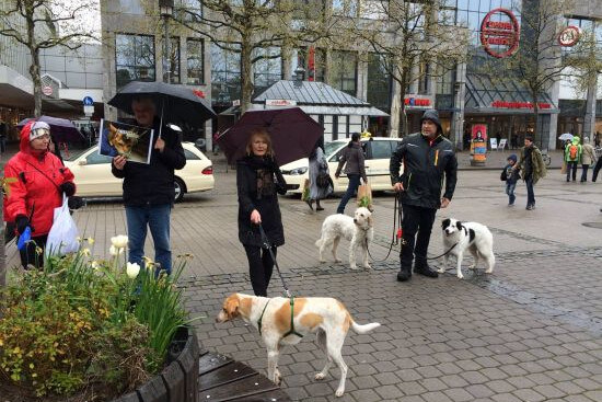 Aktionstag gegen Tierversuche in Düsseldorf