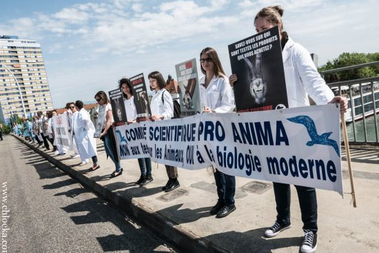 Aktionstag gegen Tierversuche in Kehl - Straßburg