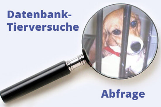 datenbank