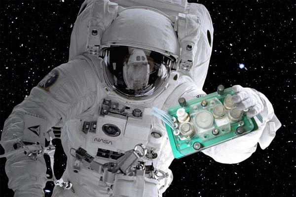 Organchips auf der ISS