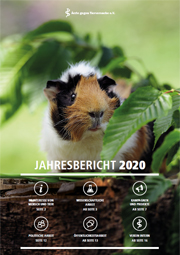 Jahresbericht 2020