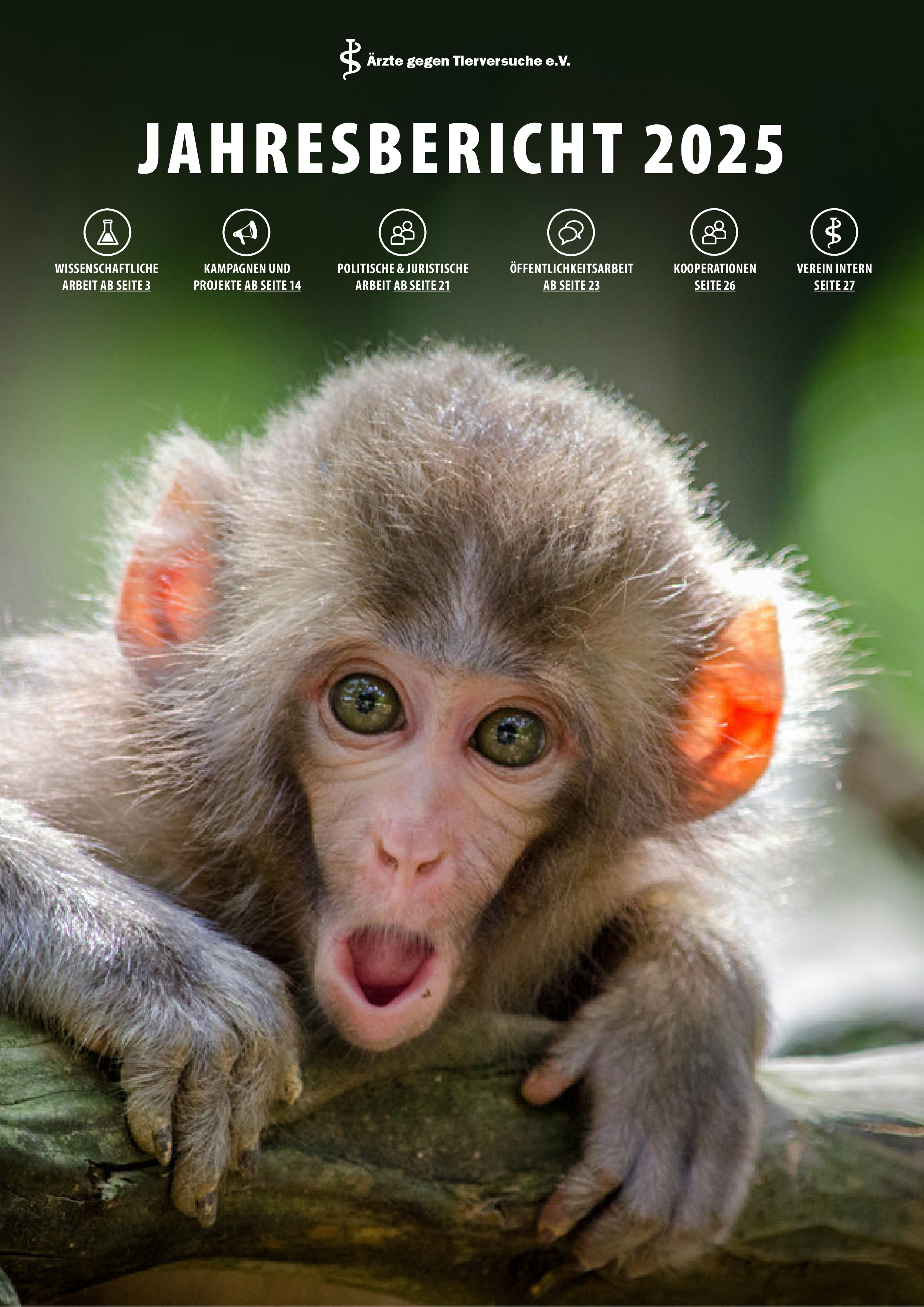 Jahresbericht 2025