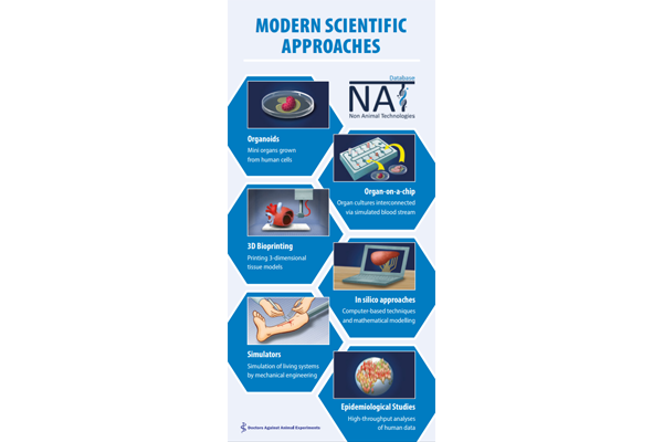 Flyer NAT-Datenbank