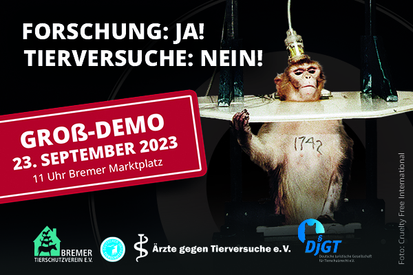 2023 09 23 demo bremen bewerbung