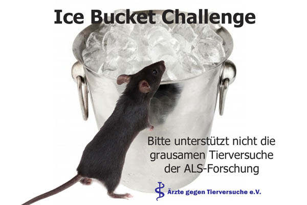 Ice Bucket Challenge - Ich spende nicht für Tierversuche