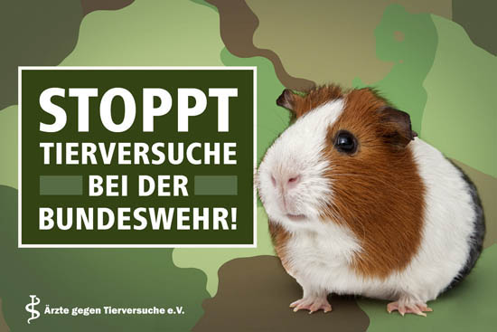 Stoppt Tierversuche bei der Bundeswehr