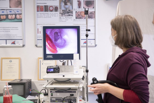 An animal-free endoscopy simulator for medical training
