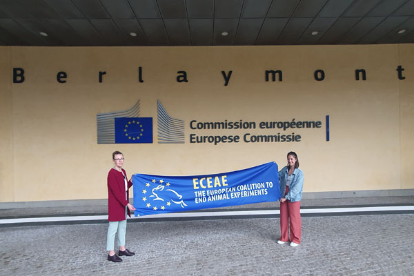 ECEAE in Brüssel