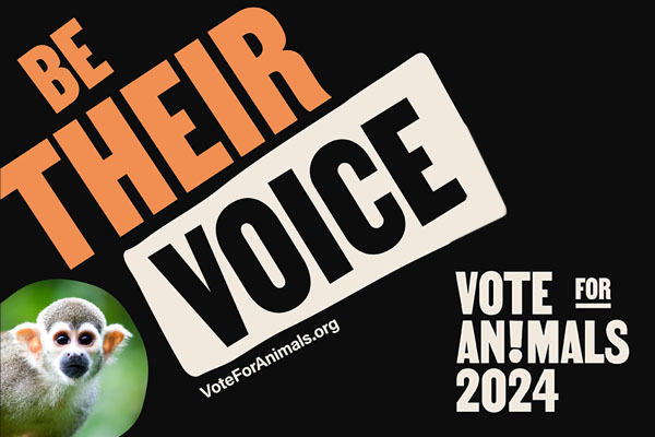 vote for animals