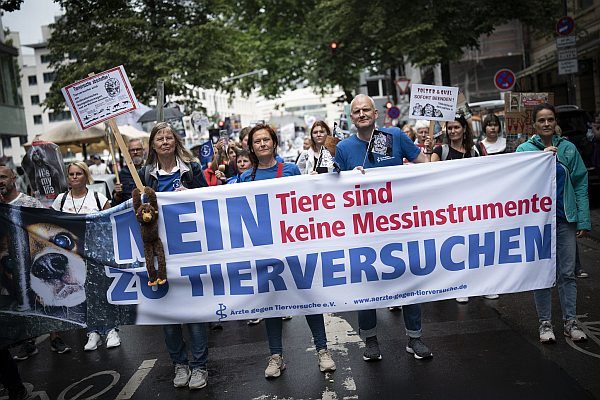 demo frankfurt