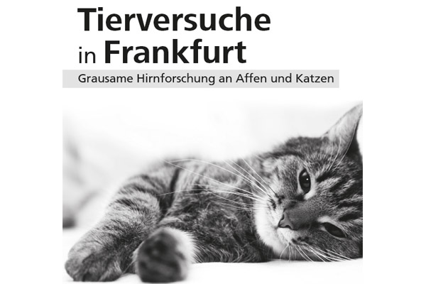 Kampagne gegen Ernst-Strüngman-Institut Fankfurt