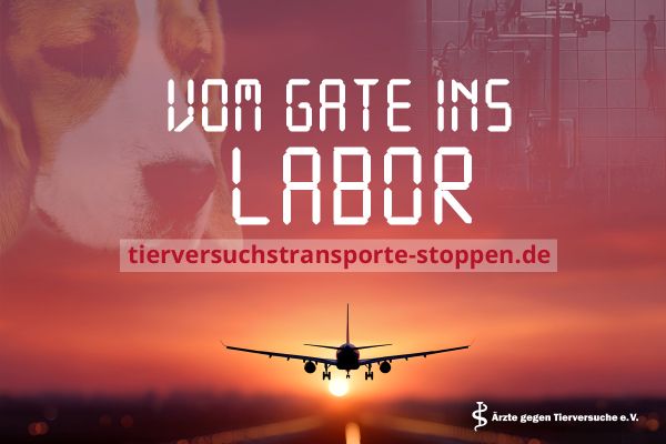 Vom Gate ins Labor