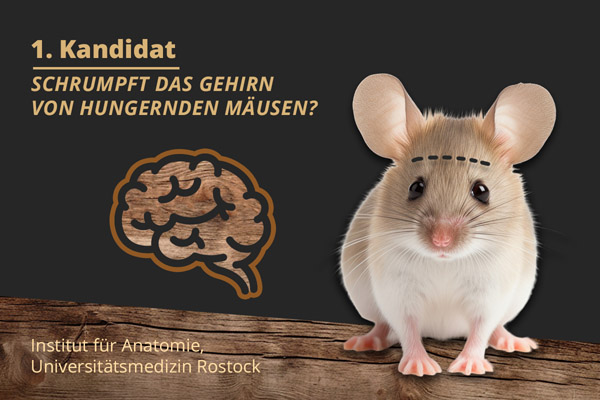 Abstimung zum absurdesten Tierversuch