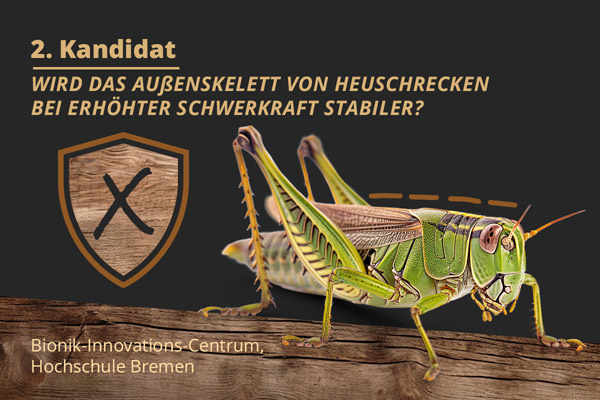 Abstimung zum absurdesten Tierversuch