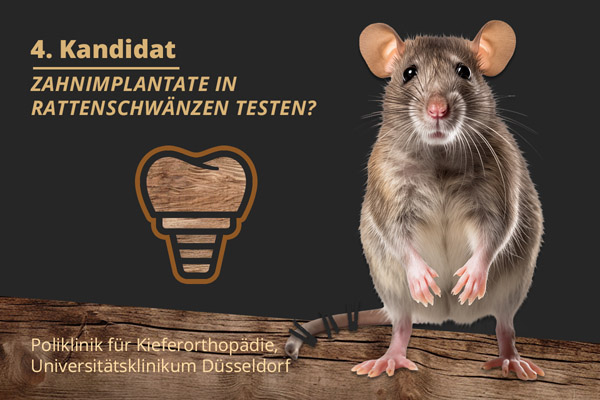 Abstimung zum absurdesten Tierversuch