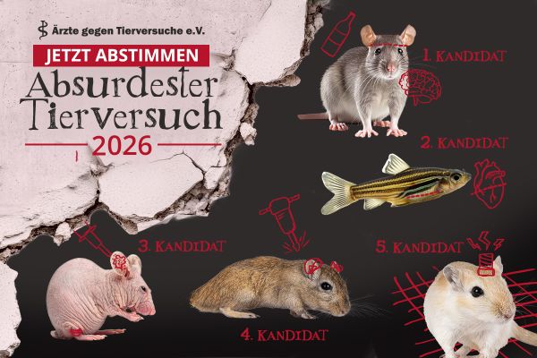Preis für den absurdesten Tierversuch 2026