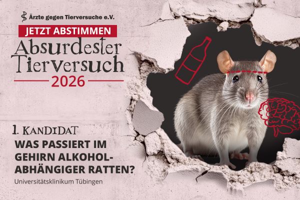 Abstimung zum absurdesten Tierversuch