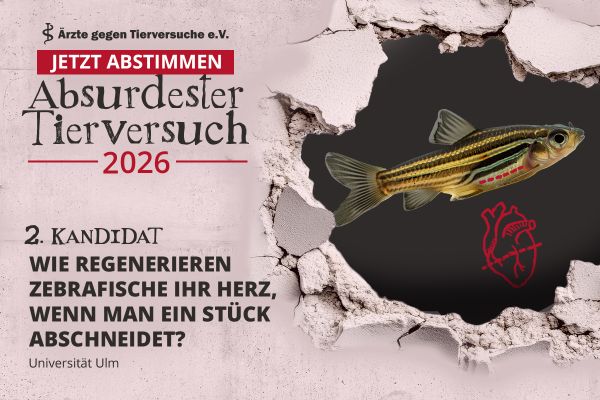 Abstimung zum absurdesten Tierversuch