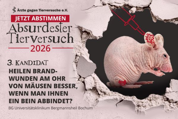 Abstimung zum absurdesten Tierversuch