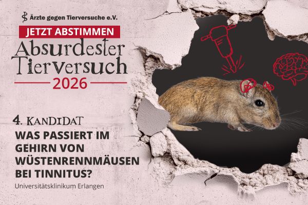 Abstimung zum absurdesten Tierversuch