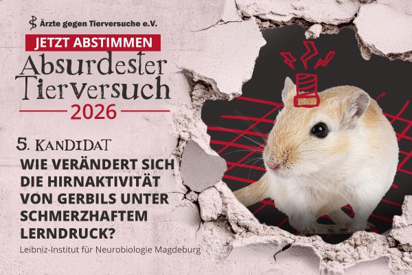 Abstimung zum absurdesten Tierversuch