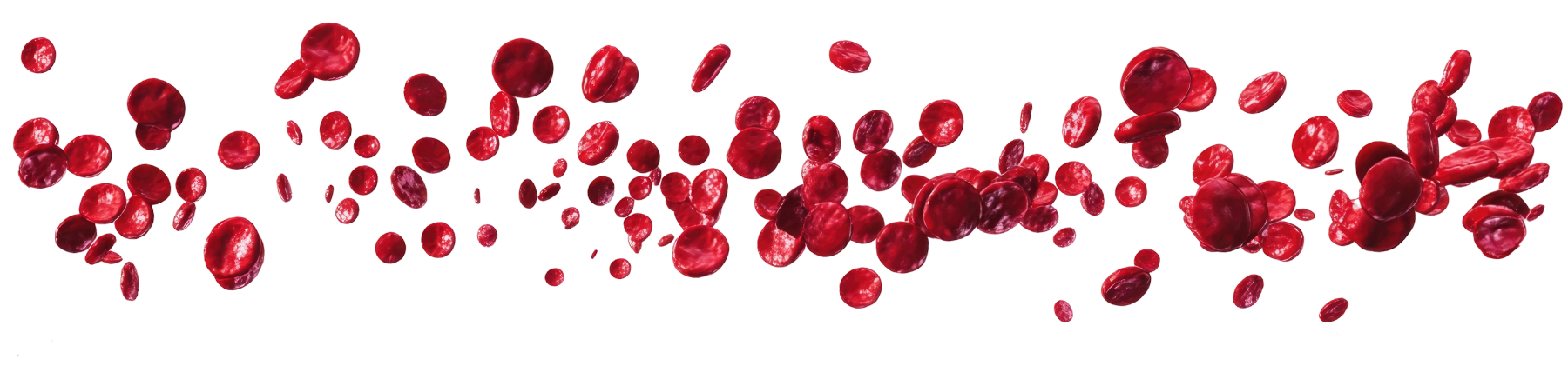 kaninchen siemens blutplaettchen