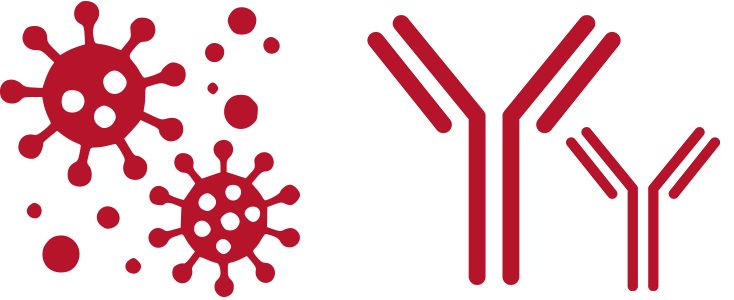 kaninchen siemens hintergrund icon antikoerperproduktion