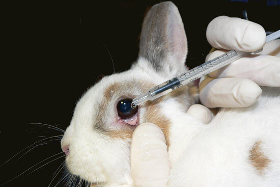 Unterschriftenübergabe gegen Kosmetik-Tierversuche