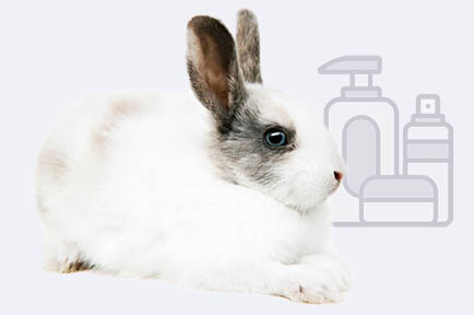 Kosmetik ohne Tierversuche