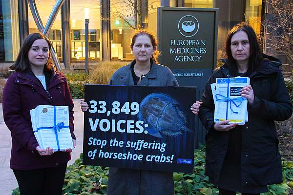 eceae delegation2025 12 12