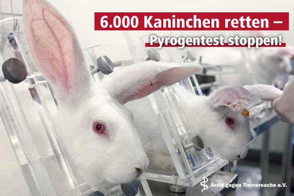 Pyrogentest am Kaninchen stoppen