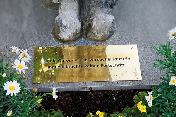 tierfriedhof4