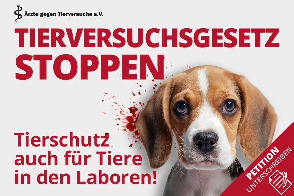 Stoppt das geplante Tierversuchsgesetz