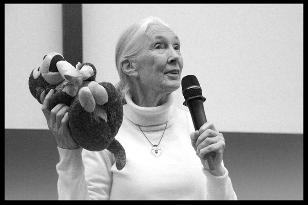 Jane Goodall