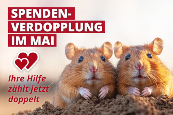 Spenden-Verdopplungsaktion