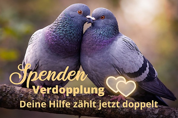 Spenden-Verdopplungsaktion