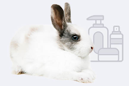 Cruelty-free Cosmetics