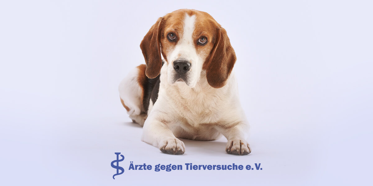 (c) Aerzte-gegen-tierversuche.de