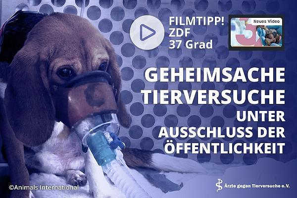 ZDF-Dokumentation: Brutale Realität hinter verschlossenen Labortüren und das Versagen eines veralteten Systems