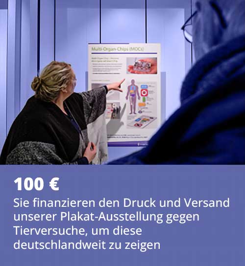 spendenzweck 100