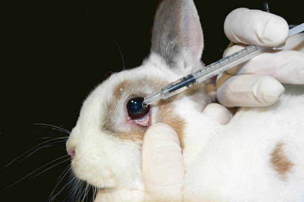 Tierversuche und tierversuchsfreie Tests im Kosmetikbereich
