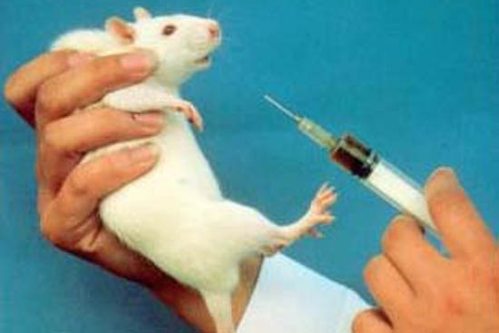 Animal testing for cosmetics continues to be permitted