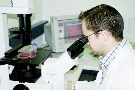 Veränderungen der kultivierten Zellen werden nach Zugabe einer Testsubstanz unter dem Mikroskop beurteilt